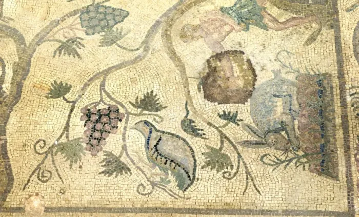 Framed Print : Partridge - Chukar mosaic Paphos in Cyprus, one of the strongholds of the Ptolemaic kings Framed Print : Partridge - Chukar mosaic Paphos in Cyprus, one of the strongholds of the Ptolemaic kings