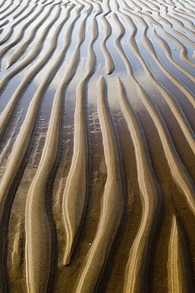 Patterns on sandy beach at low tide Northumberland UK