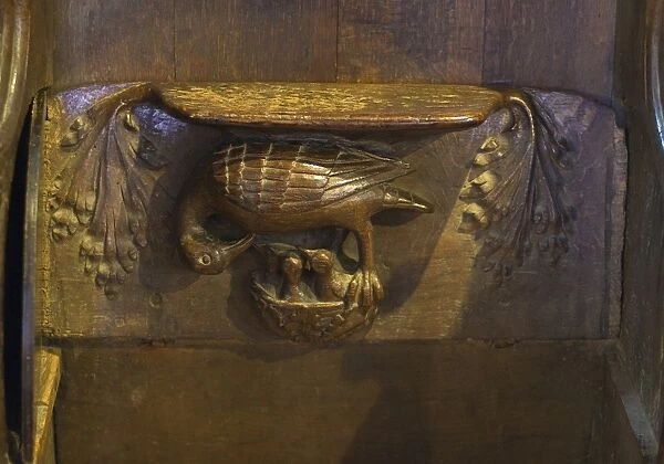 A Pelican in her piety decorating a Misericord in Lavenham Church Suffolk