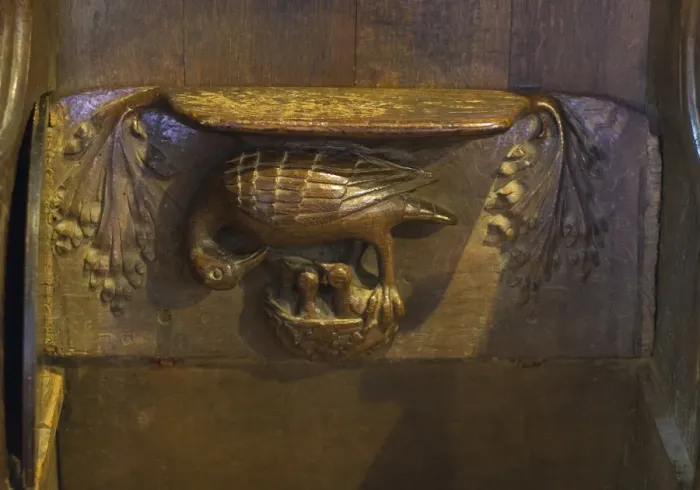 Framed Print : A Pelican in her piety decorating a Misericord in Lavenham Church Suffolk Framed Print : A Pelican in her piety decorating a Misericord in Lavenham Church Suffolk