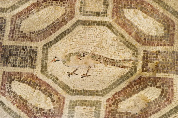 Framed Print : Pheasant? mosaic Paphos in Cyprus, one of the strongholds of the Ptolemaic kings Framed Print : Pheasant? mosaic Paphos in Cyprus, one of the strongholds of the Ptolemaic kings