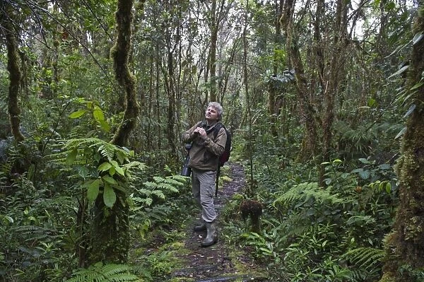 Photographer David Tipling in montane forest at 3000m near Mt Hagen in Western Highlands