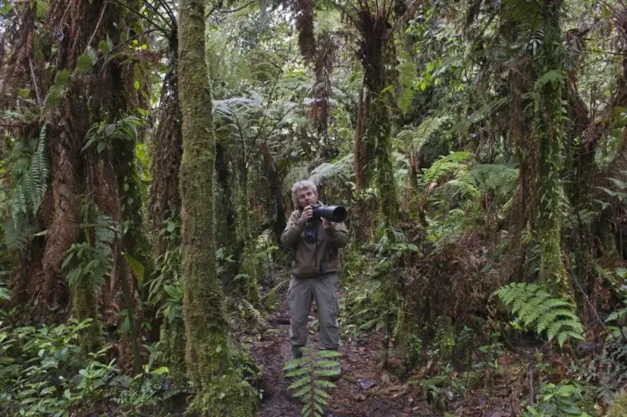 Framed Print : Photographer David Tipling in montane forest at 3000m near Mt Hagen in Western Highlands Framed Print : Photographer David Tipling in montane forest at 3000m near Mt Hagen in Western Highlands