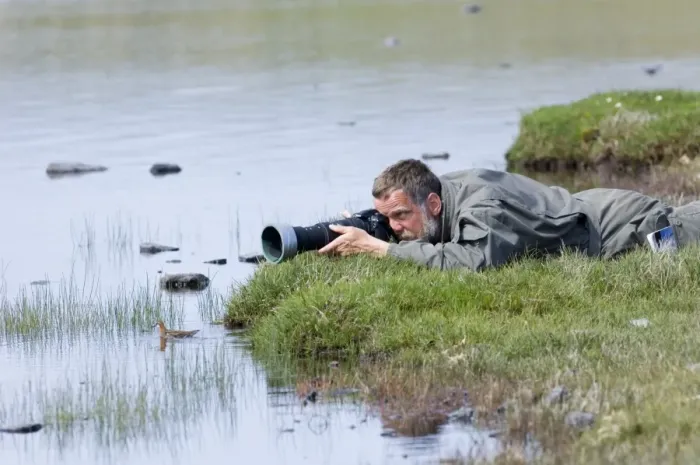 Framed Print : Photographer photographing Red-necked Phalaropes on Loch Funzie Fetlar Shetland summer Framed Print : Photographer photographing Red-necked Phalaropes on Loch Funzie Fetlar Shetland summer