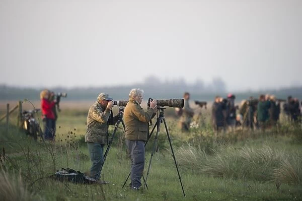 Photographers at Anettisham RSPB Reserve on The Wash Norfolk winter