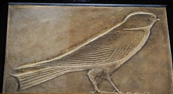 Plaster cast of an Ancient Egyptian heiroglyph Swallow