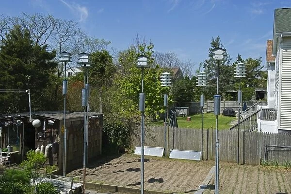 Purple Martin boxes in backyard in Cape May New Jersey USA