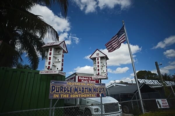 Purple Martin House Progne subis Nr Homestead Florida USA