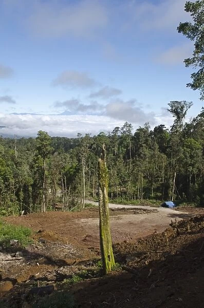 Ranforest clearance  /  logging near Tari Papua New Guinea