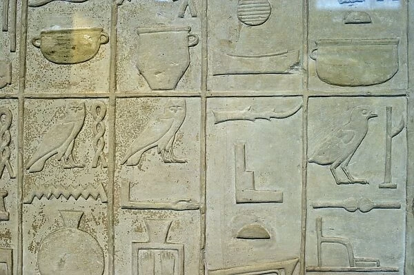 A relief from the walls of the tomb of Rahotep at Maydum Egypt dating to 2600 BC