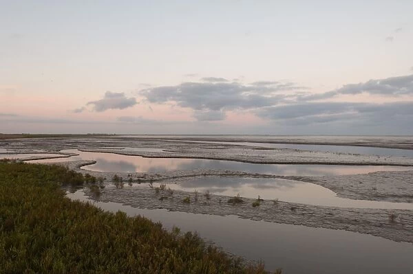Saltmarsh and tidal mudflats of The Wash viewed on a full moon just prior to sunrise
