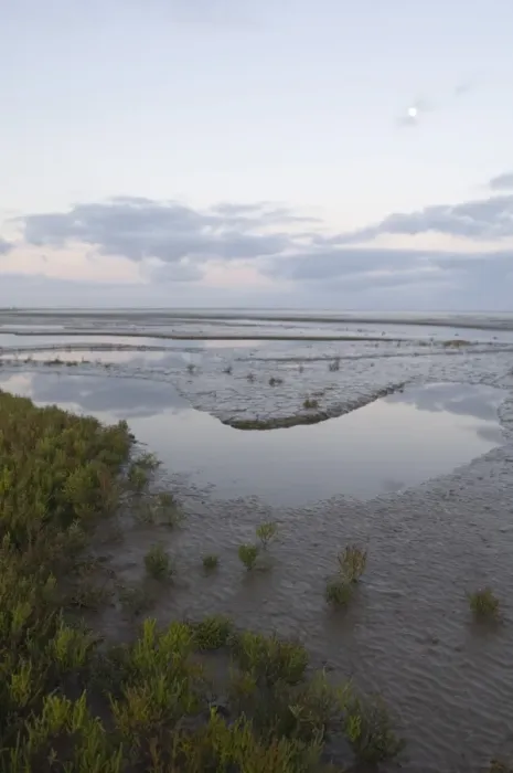 Framed Print : Saltmarsh and tidal mudflats of The Wash viewed on a full moon just prior to sunrise Framed Print : Saltmarsh and tidal mudflats of The Wash viewed on a full moon just prior to sunrise