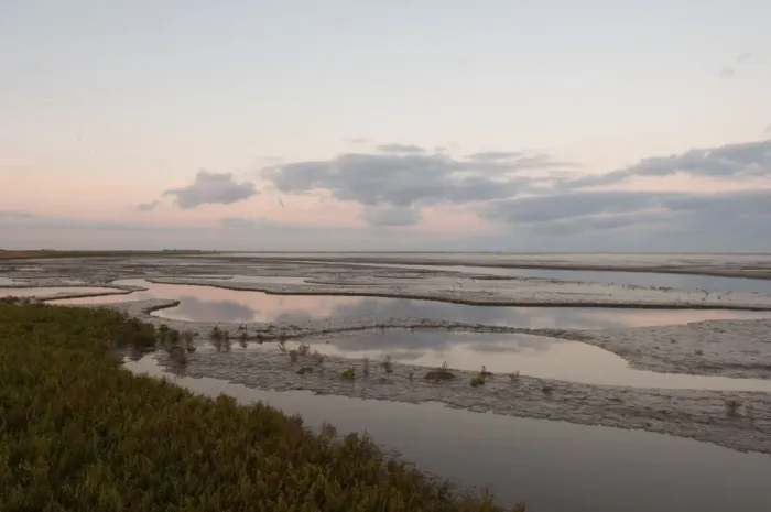 Framed Print : Saltmarsh and tidal mudflats of The Wash viewed on a full moon just prior to sunrise