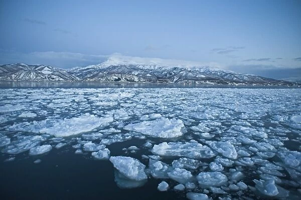Sea ice at dawn off Rausu on Shiretoko Peninsula Hokkaido Japan