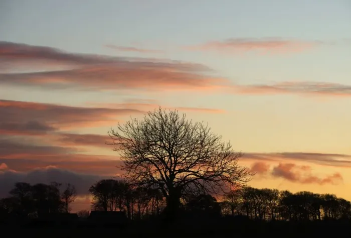 Framed Print : Silhoutted tree at sunset Burnham Norton Norfolk winter Framed Print : Silhoutted tree at sunset Burnham Norton Norfolk winter