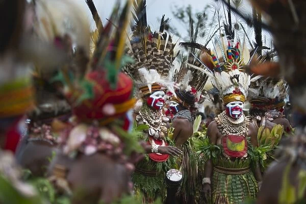 Sing-sing group from Hagen in Western Highlands performing at Hagen Show Papua New Guinea