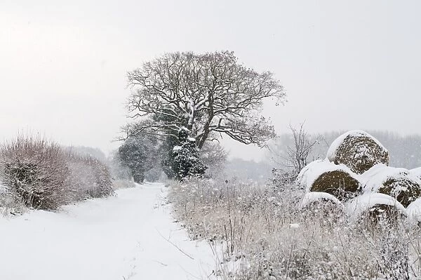 Snow covered lane and hay bales Postwick Norfolk December