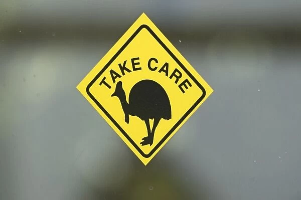 Sticker warning of Southern Cassowarys Casuarius casaurius Cairns Queensland