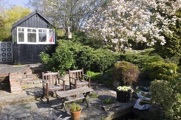 Suburban garden in spring Kent