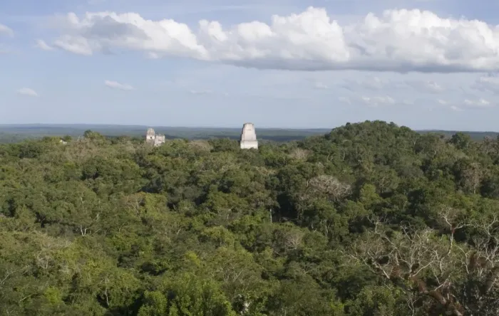 Framed Print : Temples rising above the rainforest at Tikal viewed from Temple 1V Guatemala Framed Print : Temples rising above the rainforest at Tikal viewed from Temple 1V Guatemala
