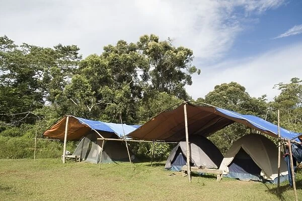 Tented camp at Mt Kitanglad Mindanao Philippines
