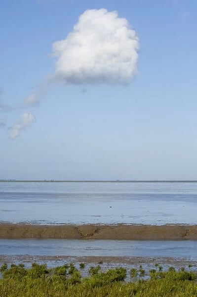 The tidal mudflats of the Wash viewed from Snettisham RSPB Reserve, North Norfolk