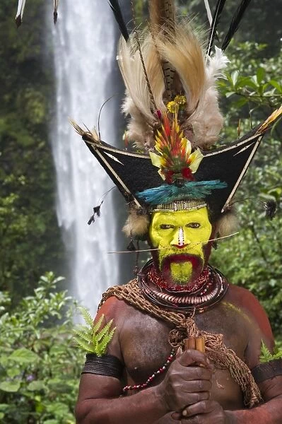 Timan Thumbu Huli Wigman from Tari Southern Highlands Papua New Guinea. Feathers