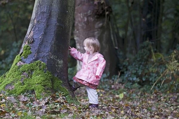 Toddler (2yr old girl) exploring in woodland Norfolk autumn