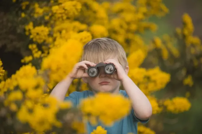 Framed Print : Toddler (3 Yr old boy) bird watching on heath Norfolk April Framed Print : Toddler (3 Yr old boy) bird watching on heath Norfolk April