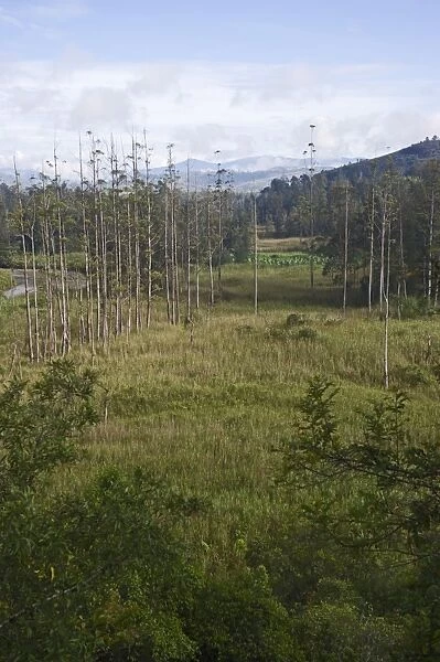 Valley in Western Highlands near Mt Hagen Papua New Guinea