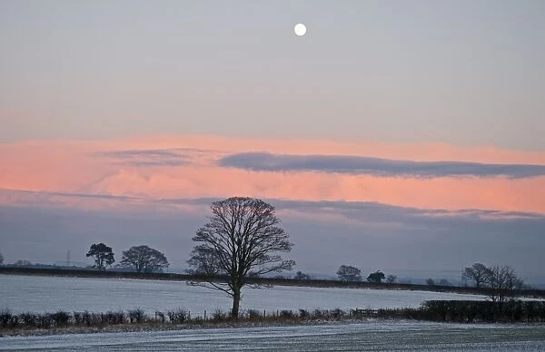 View across arable farmland near Gretna Dumfries Scotland at dusk december