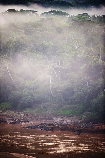 View across canopy of Amazonian rainforest at dawn Tambopata Peru