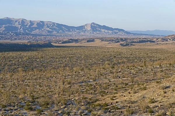 View across the desert in Anza-borrego Desert State Park California April
