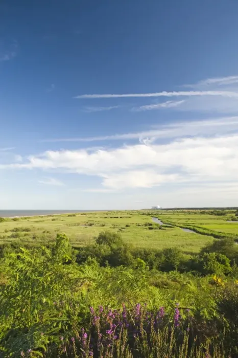 Framed Print : View across Minsmere RSPB Reserve from Dunwich Suffolk July Framed Print : View across Minsmere RSPB Reserve from Dunwich Suffolk July