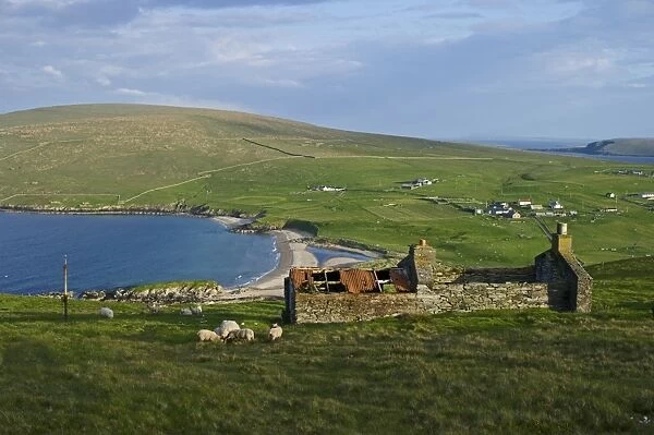 View across towards Norwick and abandoned Crofts from the Garths Unst Shetland June