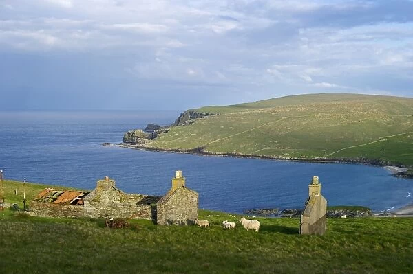 View across towards Norwick and abandoned Crofts from the Garths Unst Shetland June
