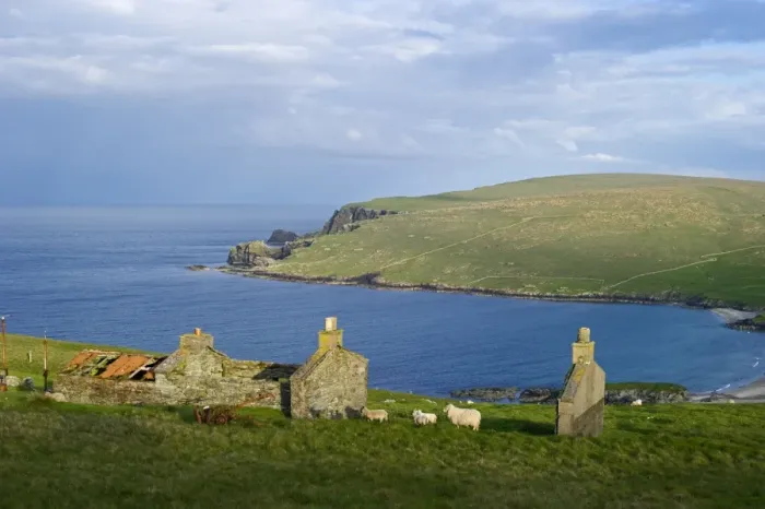 Framed Print : View across towards Norwick and abandoned Crofts from the Garths Unst Shetland June Framed Print : View across towards Norwick and abandoned Crofts from the Garths Unst Shetland June