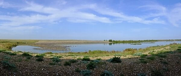 View of wader high tide roost on gravel pits at Snettisham RSPB reserve on the Wash