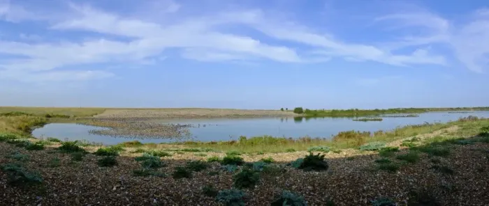 Framed Print : View of wader high tide roost on gravel pits at Snettisham RSPB reserve on the Wash Framed Print : View of wader high tide roost on gravel pits at Snettisham RSPB reserve on the Wash
