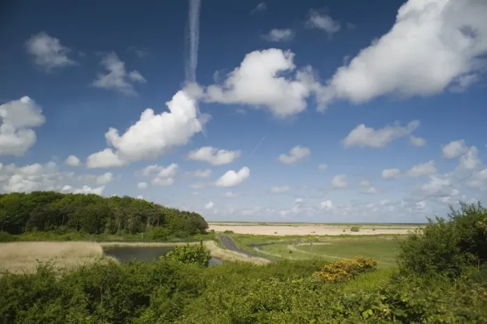 Framed Print : View from Walsey Hills watchpoint towards Cley NWT Reserve Norfolk May