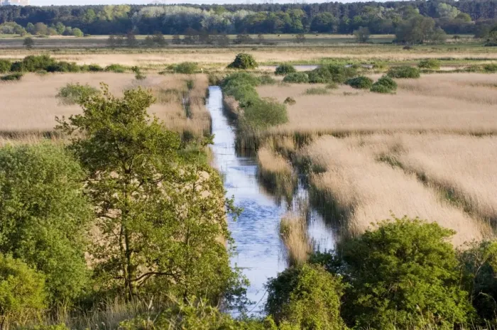Framed Print : View from Whin Hill Minsmere May Framed Print : View from Whin Hill Minsmere May