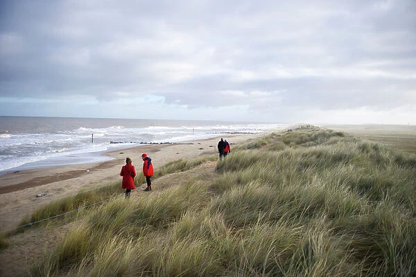 Visitors viewing Grey Seal colony at Winterton Dunes Norfolk December