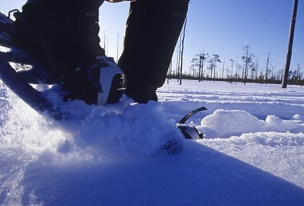 Walking in snow shoes through snow in Finnish Lapland winter