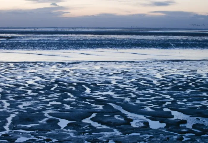 Framed Print : The Wash at low tide at dusk Snettisham RSPB Reserve Norfolk winter Framed Print : The Wash at low tide at dusk Snettisham RSPB Reserve Norfolk winter