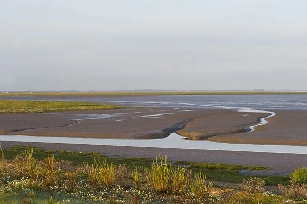 The Wash at Snettisham RSPB Reserve at low tide Norfolk late summer