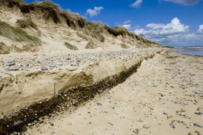 Framed Print : World War ll defences and beach erosion Minsmere May 2005