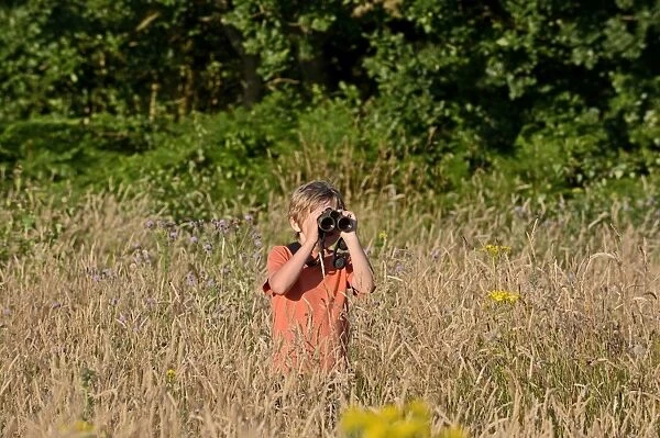 Young boy bird watching in meadow Norfolk summer Model released