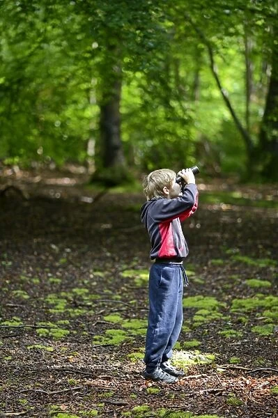 Young boy bird watching in woodland Norfolk summer Model released