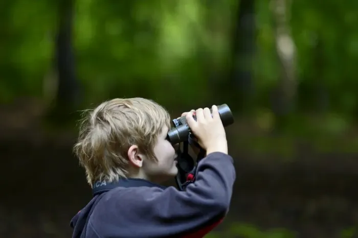 Framed Print : Young boy bird watching in woodland Norfolk summer Model released Framed Print : Young boy bird watching in woodland Norfolk summer Model released