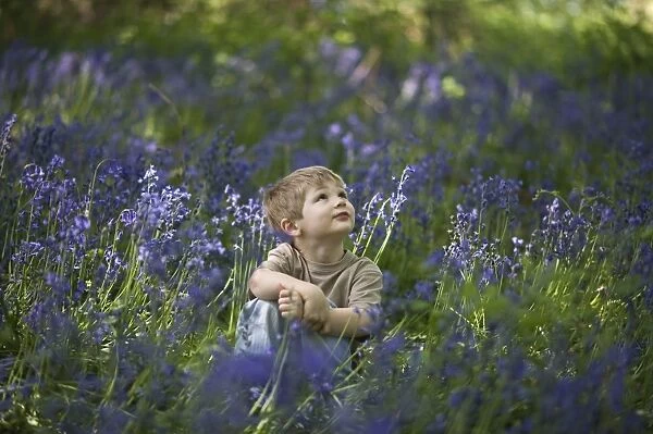 Young boy exploring in Bluebell Wood Norfolk May
